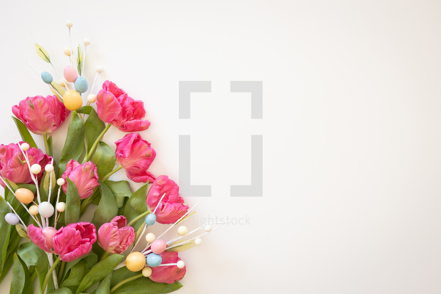 Border of pink tulips and easter eggs on white