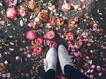 boots standing on pink flowers on pavement 