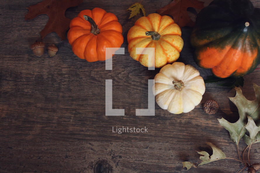 Fall Thanksgiving Holiday Season Background with Pumpkins, Leaves and Acorn Squash Over Wood