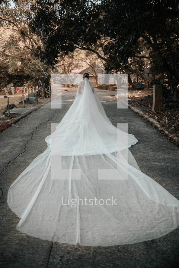 bride with a long train and vail 