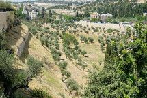 Kidron Valley and Gethsemane from the south.