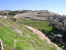 The eastern slope of the City of David and the Mount of Olives.