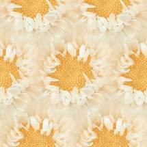 soft peachy orange mum closeup seamless tile kaleidoscopic view