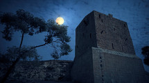 Old fortress in Israel at night with full moon
