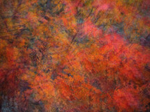 rich abstract autumn color textural background 
