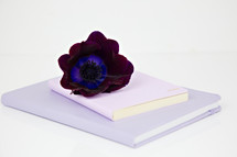 purple flower on a journal 