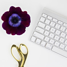 gold scissors, purple flower, and computer keyboard 
