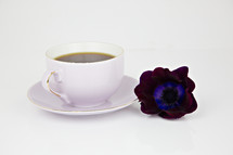 coffee cup and flower 