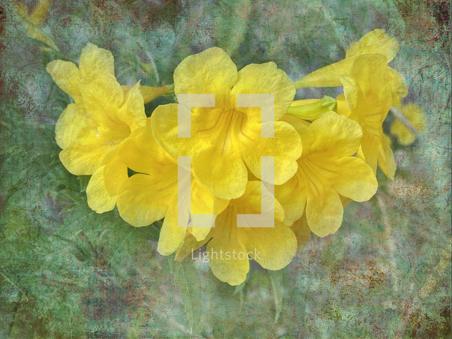 cluster of yellow flowers on textural background