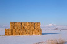 Golden Hay stacked in a field with snow capped mountains in the background