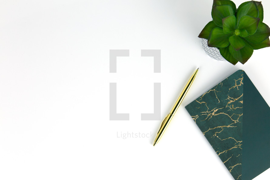 house plant, potted plant, gold pen, notebook, white background 