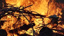 Closeup of hot, blazing flames of camp fire burning wood logs and tree branches in cinematic slow motion.