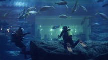 Tourists taking photos as scuba diver is swimming underwater in Dubai aquarium.
