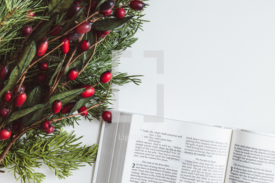 Bible and branch with red berries on a white background