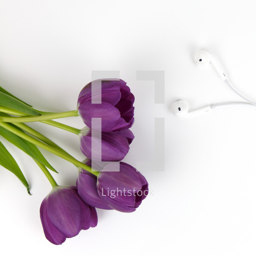 purple tulips and earbuds 
