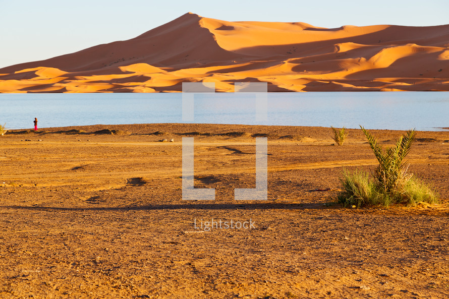 lake in the Sahara desert 