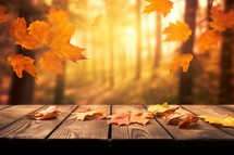 Autumn Orange Leaves and Wooden Plank