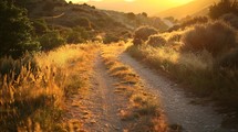 Off Road Path At Sunset 