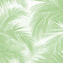 palm fronds in light greens and white