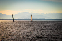 sailboats sailing at sunset 