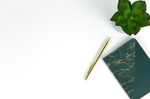 house plant, potted plant, gold pen, notebook, white background 