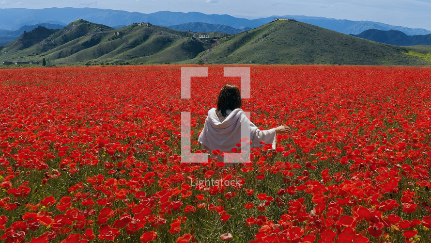 Jesus praying in a beautiful poppy field near the Galilee Hills - Israel.
