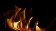 Fire wood, nice piece of wood burning in close-up and slow motion