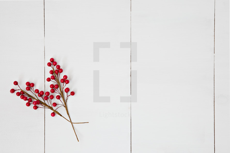 red berries on a white background 