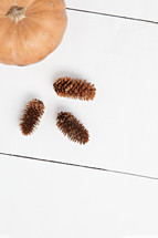 pine cones and orange pumpkin on a white wood background 
