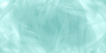 feathery white and blue-green effect - abstract background