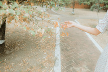 a woman touching leaves on a tree 