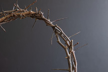 crown of thorns and black background 