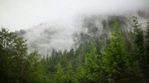 clouds above a mountain forest 