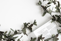 Bible and branch with white berries on a white background