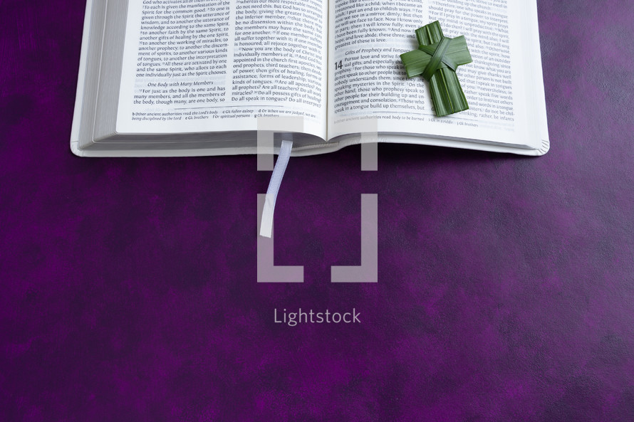 open Bible and palm cross on a purple background 