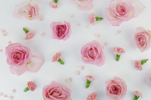 pink roses and carnations on a white background 