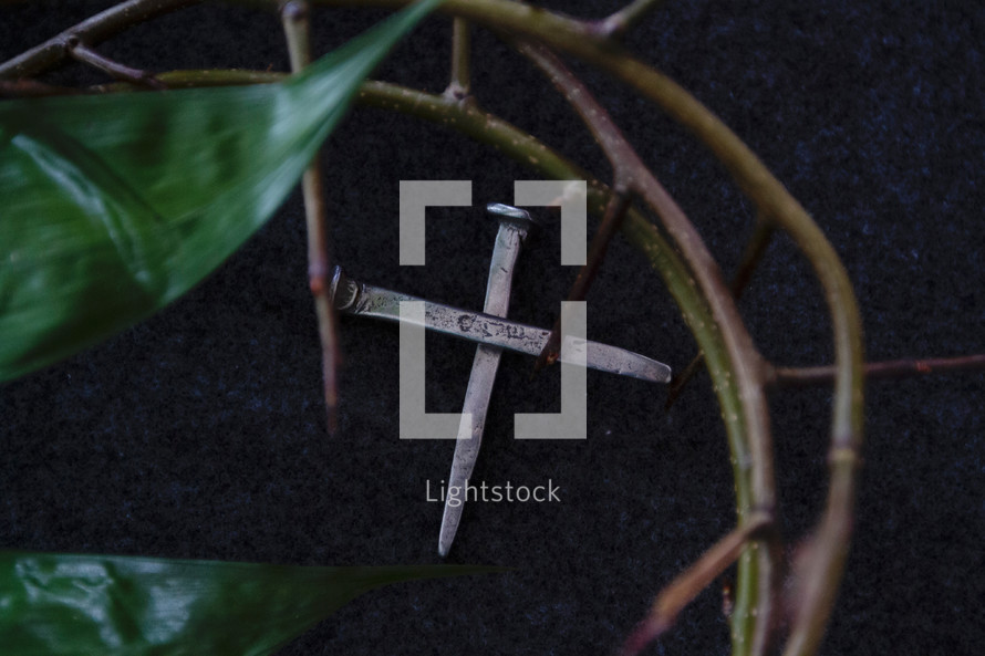 crown of thorns, green leaves, and cross of nails 