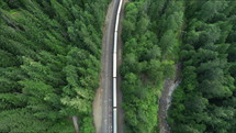 train traveling through a forest 