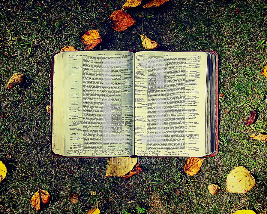 open Bible on the ground and fall leaves