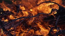 Closeup of flames and coals of camp fire burning wood logs and tree branches in cinematic slow motion.