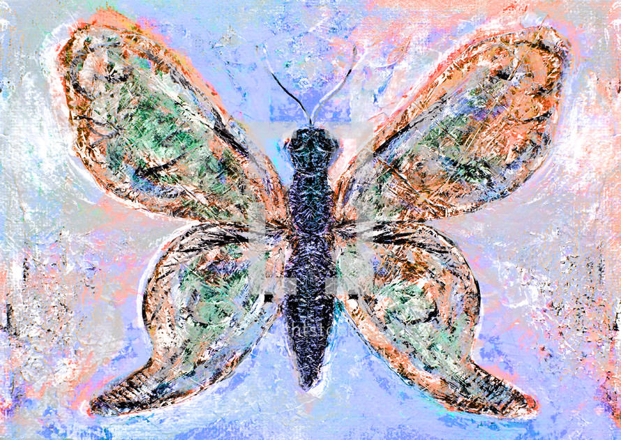 butterfly artwork mixed media design in orange, blue, green, pink and black