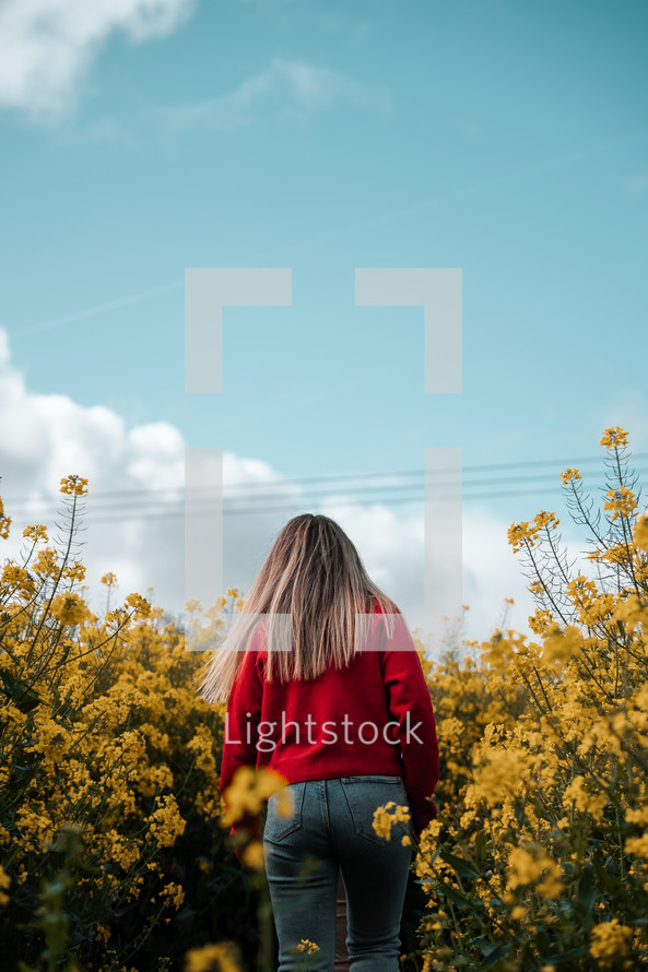 Freedom in nature, girl walking in a field, yellow rapeseed blue sky landscape photo