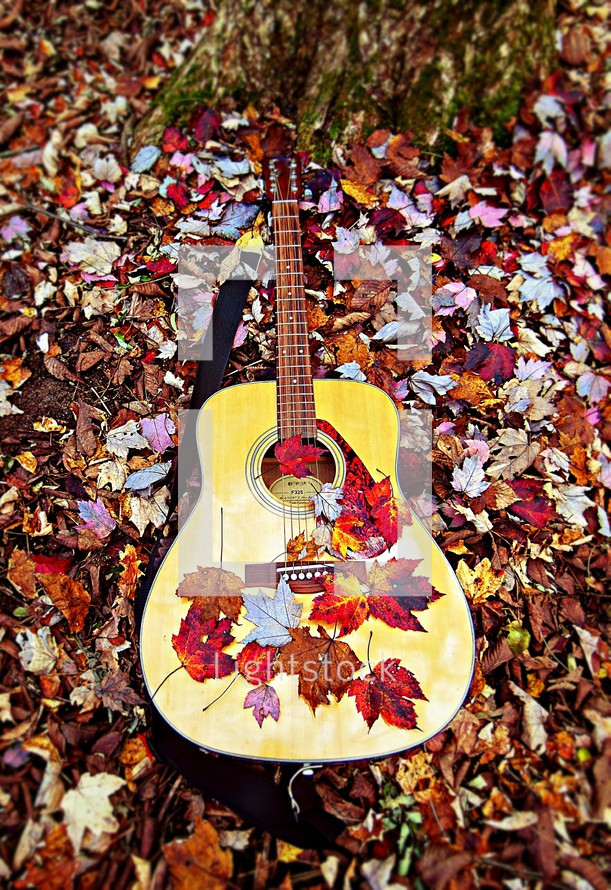 guitar in fall leaves 