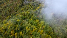 Foggy mountains in autumn