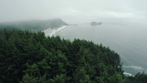 aerial view over a misty coastline 