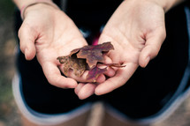 cupped hands holding fall leaves 