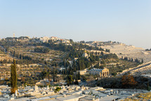 The Mount of Olives from the northwest.