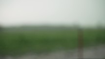 Heavy, dramatic, slow motion rain falling on green, summer or spring grass on rural America farmland. Rain waters crops and grass after drought in farming community.