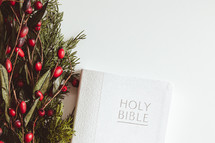 Bible and branch with red berries on a white background