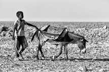 a child with a donkey in the desert in Ethiopia 